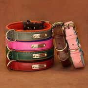 Personalized Leather Dog Collar