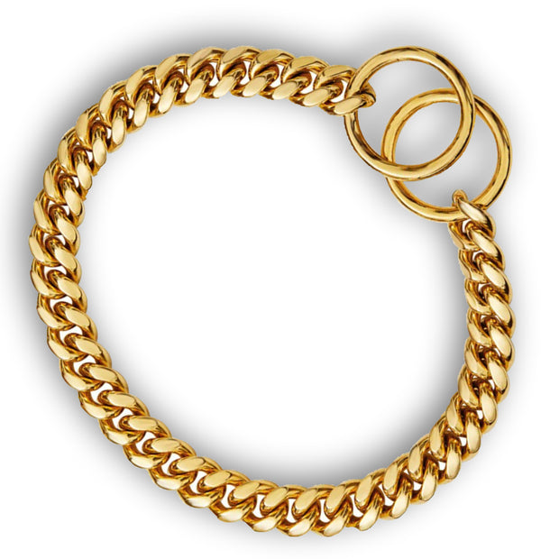 Gold Necklace for Dogs