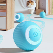 Active Rolling Ball for Cats