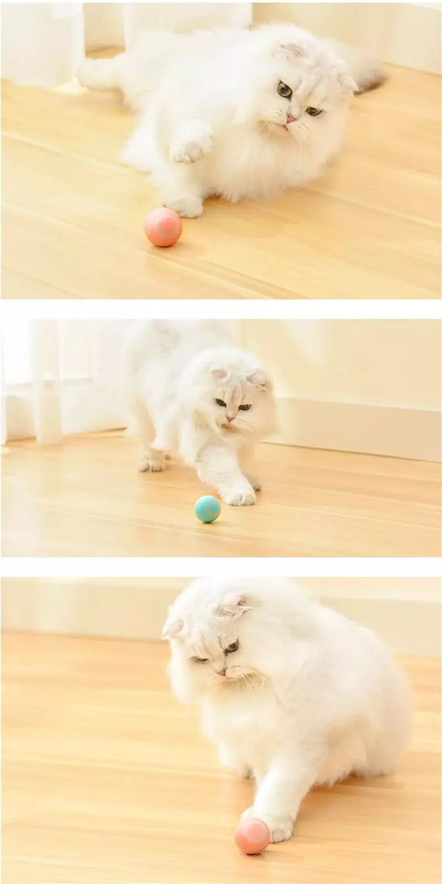Active Rolling Ball for Cats