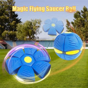 Dog Flying Saucer Ball