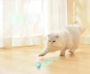 Active Rolling Ball for Cats