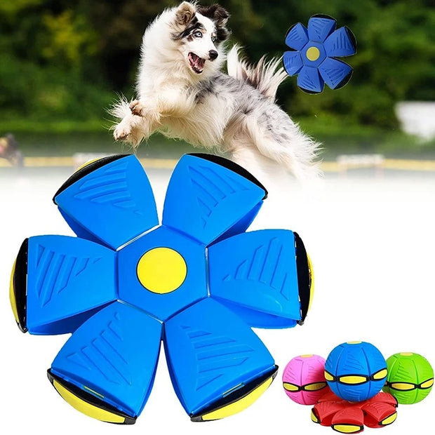 Dog Flying Saucer Ball