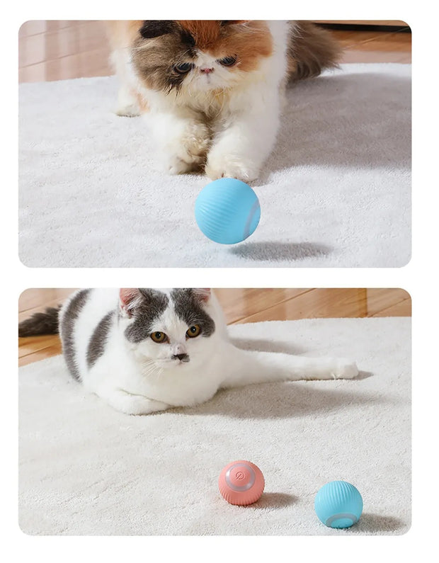 Active Rolling Ball for Cats