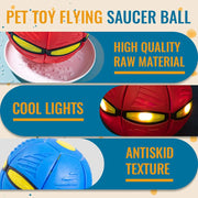 Dog Flying Saucer Ball