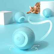 Active Rolling Ball for Cats