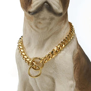 Gold Necklace for Dogs