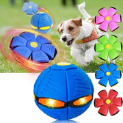 Dog Flying Saucer Ball