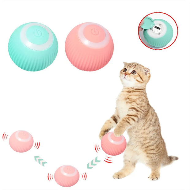 Active Rolling Ball for Cats