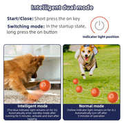 Active Rolling Ball for Dogs